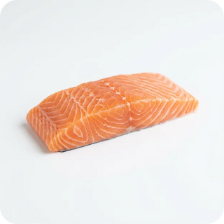 Salmon (100g)